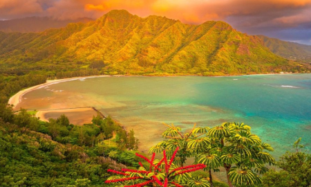 When is the best time to vacation in hawaii